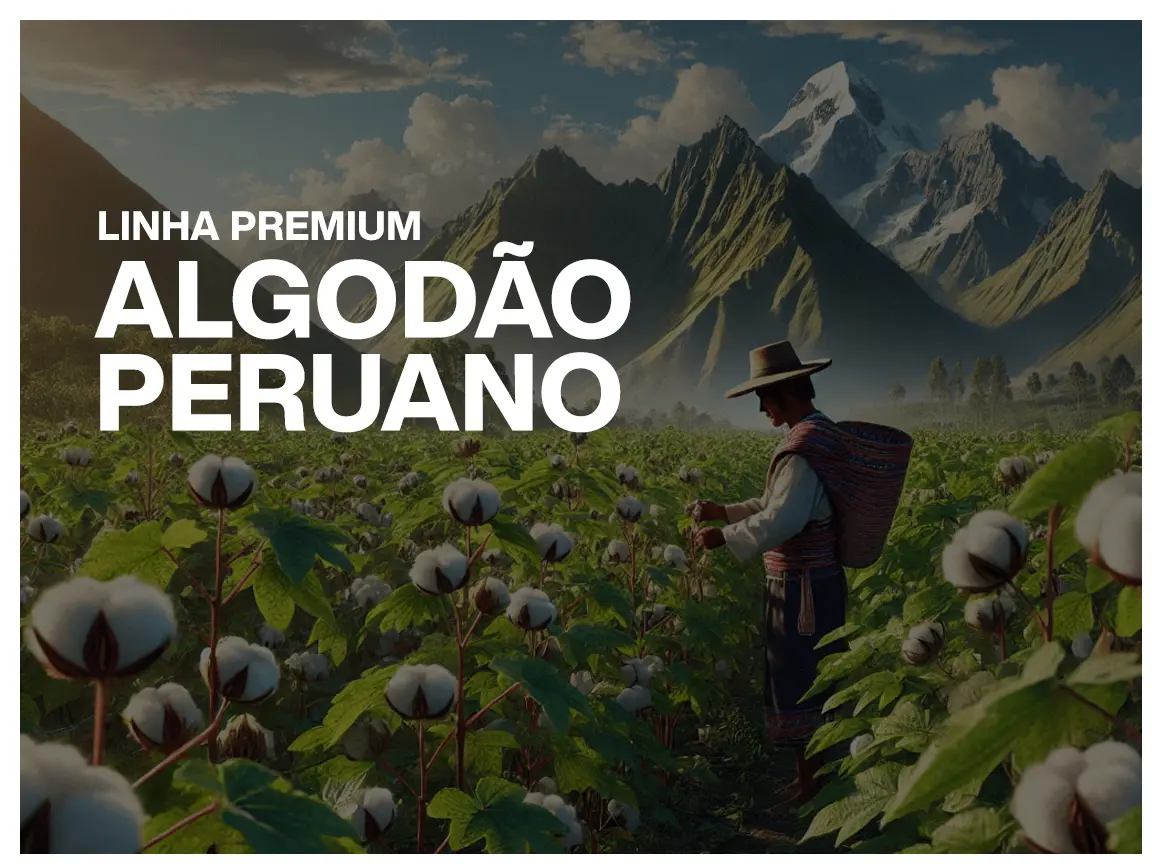 Imagem 0 da seção 15