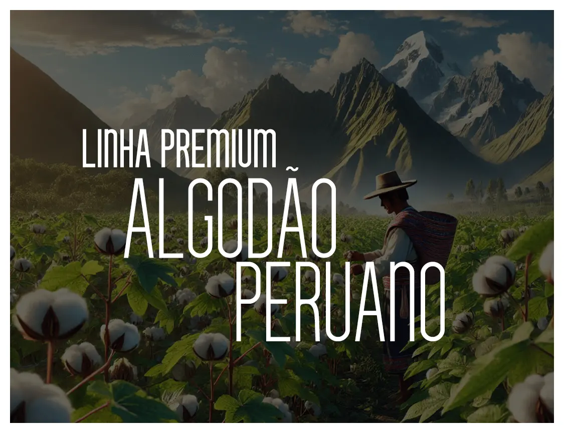 Imagem 2 da seção 5