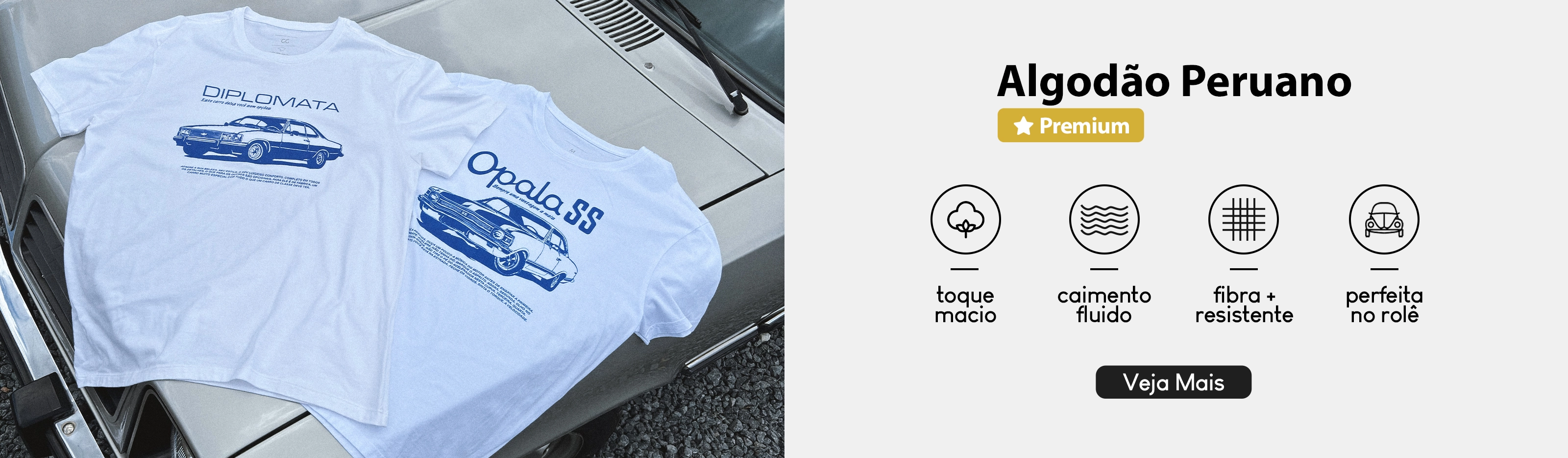 Imagem 0 da seção 9