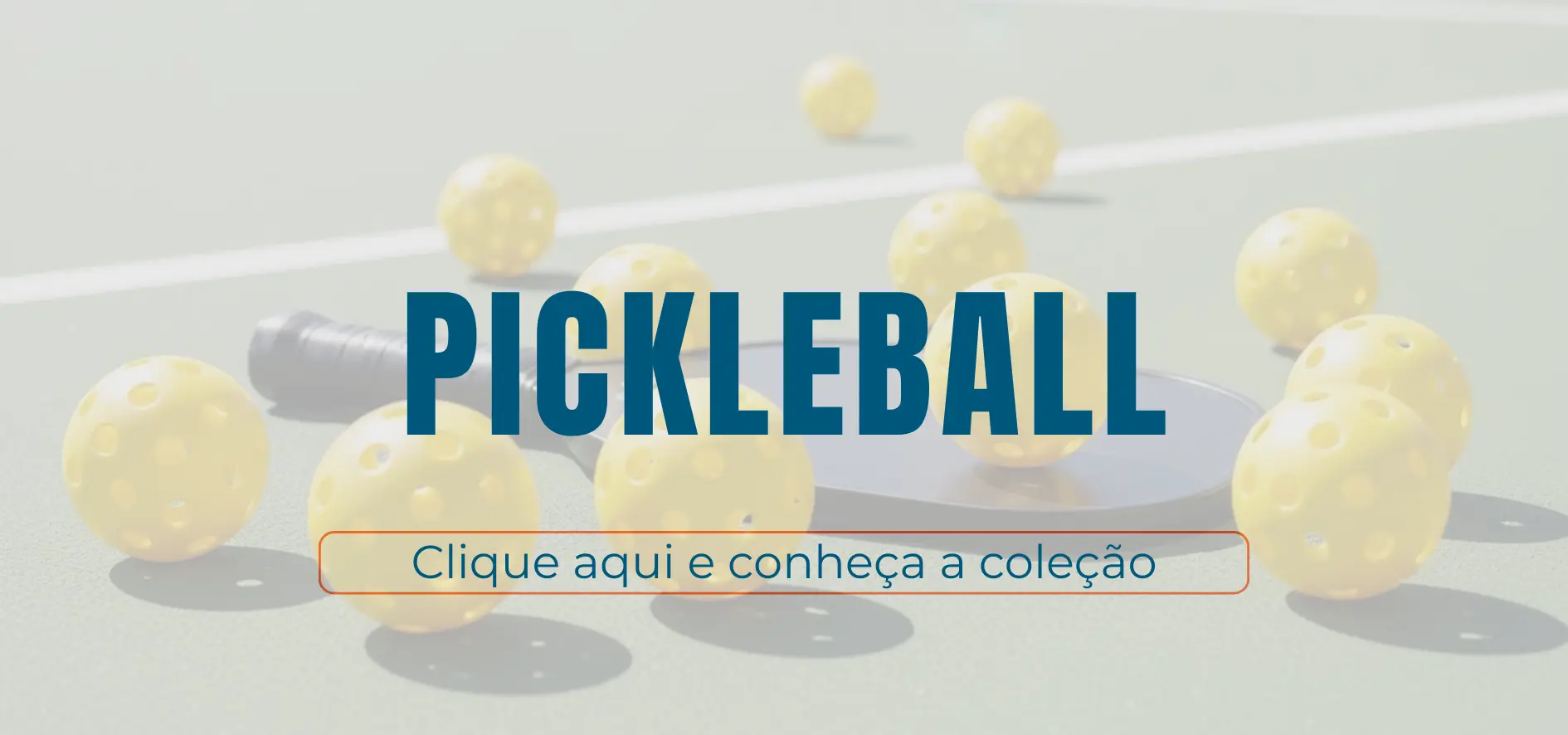 Imagem 1 da seção 3