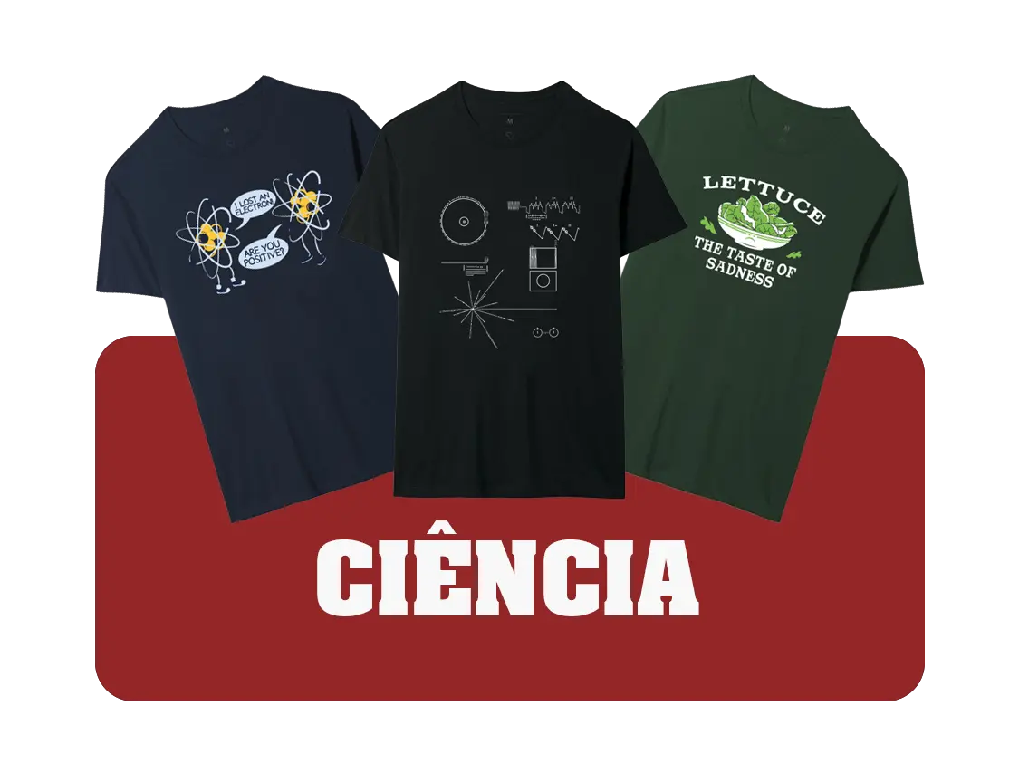 Imagem 3 da seção 3