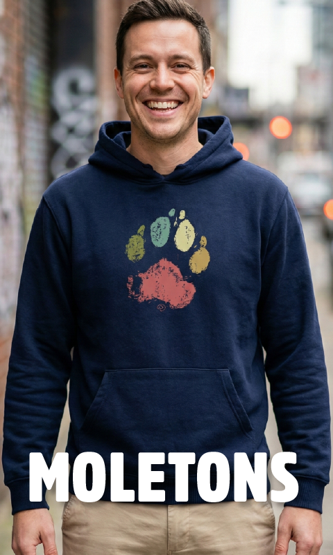 Imagem 5 da seção 11