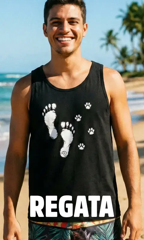 Imagem 1 da seção 17