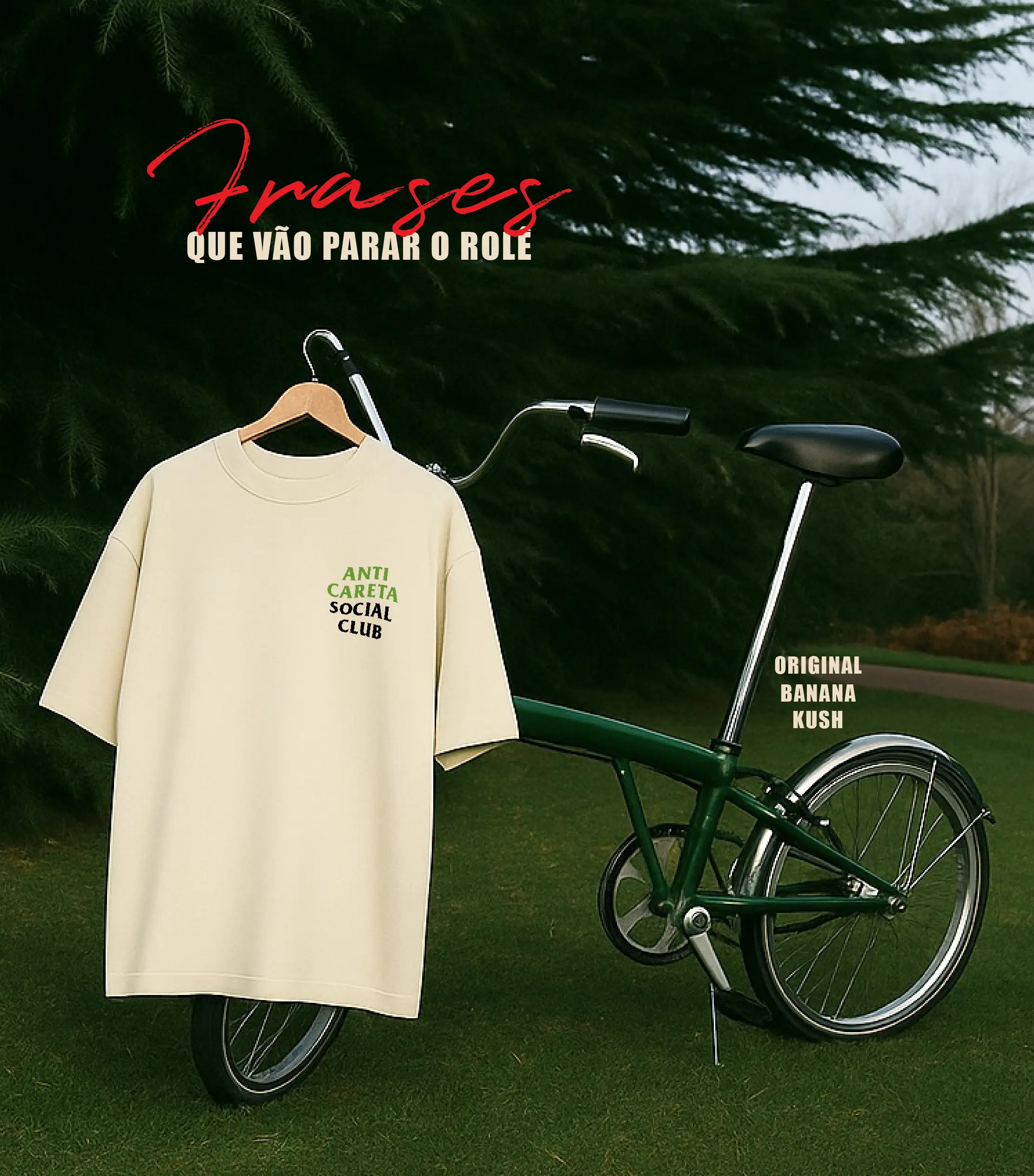 Imagem 4 da seção 7