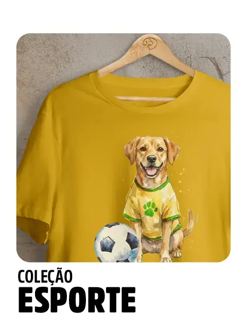 Imagem 2 da seção 3