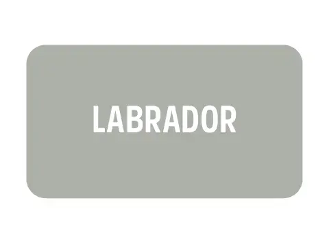 Imagem 1 da seção 20