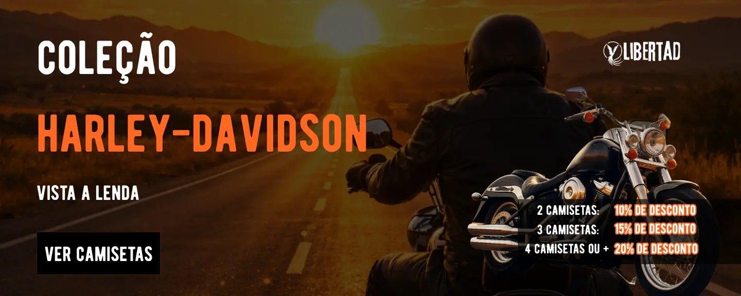 Imagem 0 da seção 3