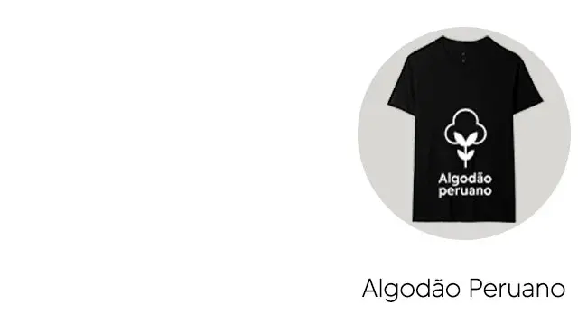 Imagem 1 da seção 2