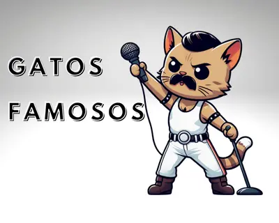 Imagem 2 da seção 5