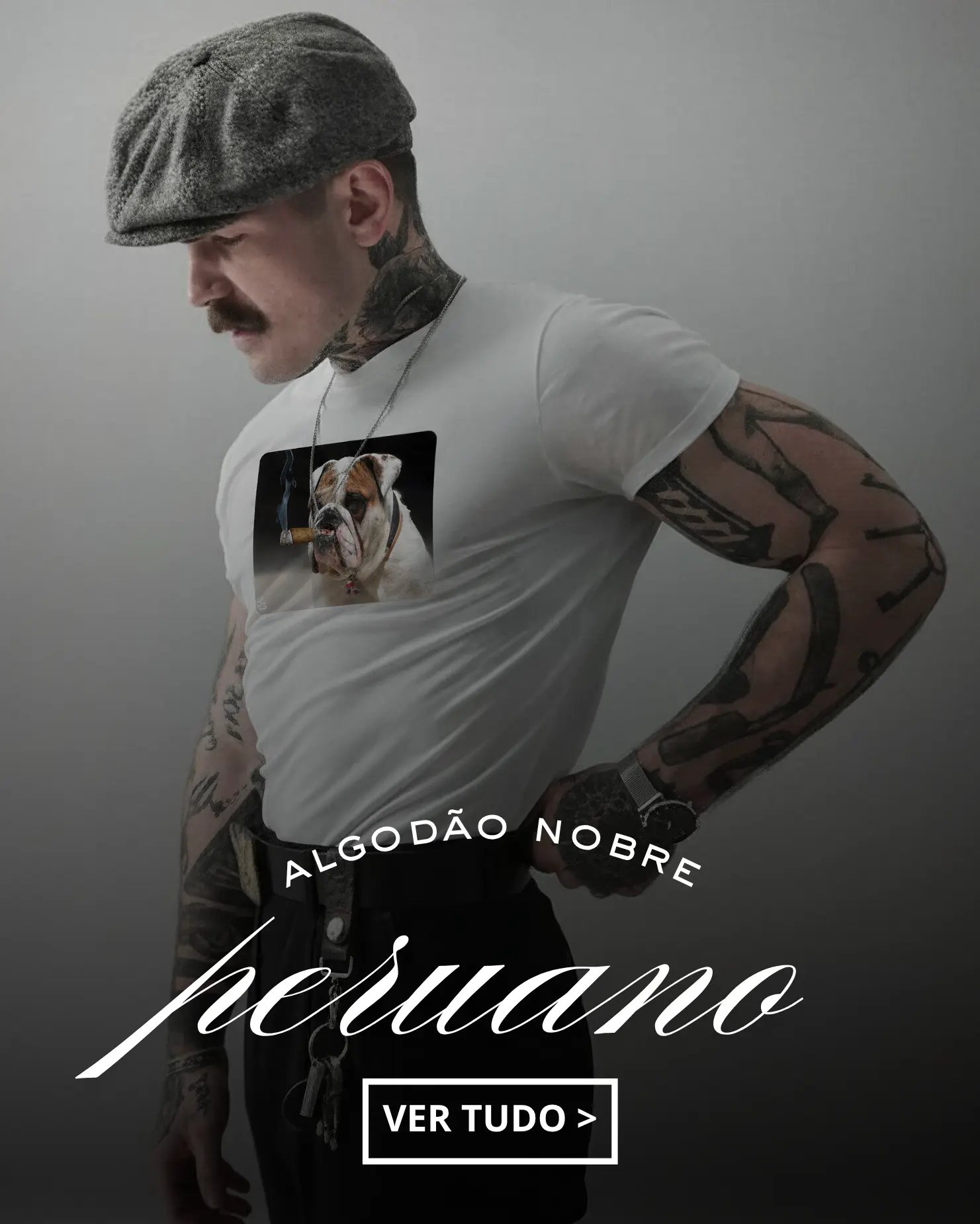 Imagem 2 da seção 6