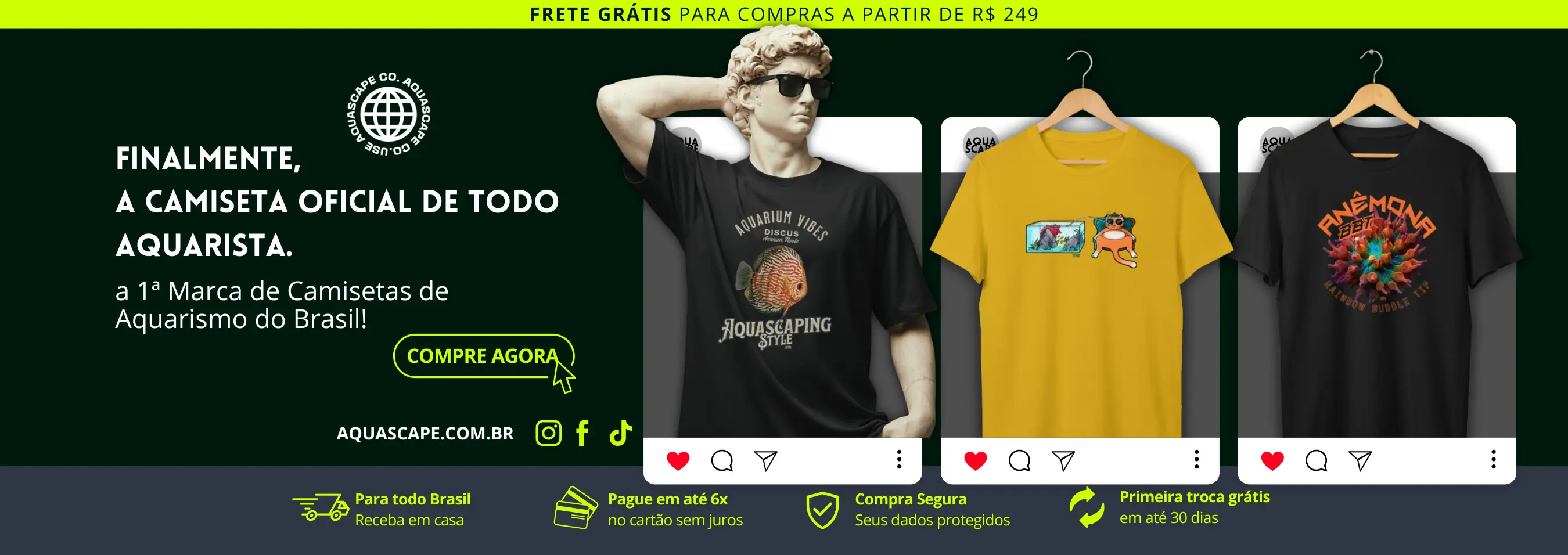 Imagem 0 da seção 1