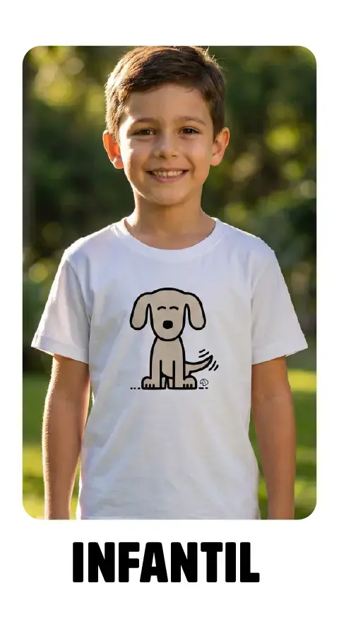 Imagem 3 da seção 17