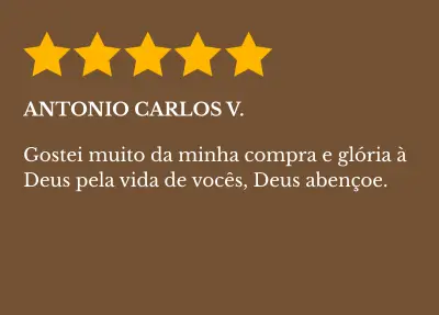 Imagem 3 da seção 17