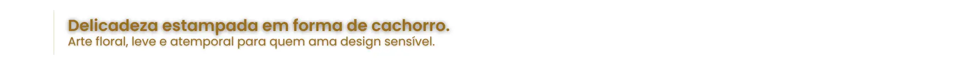 Imagem 0 da seção 9