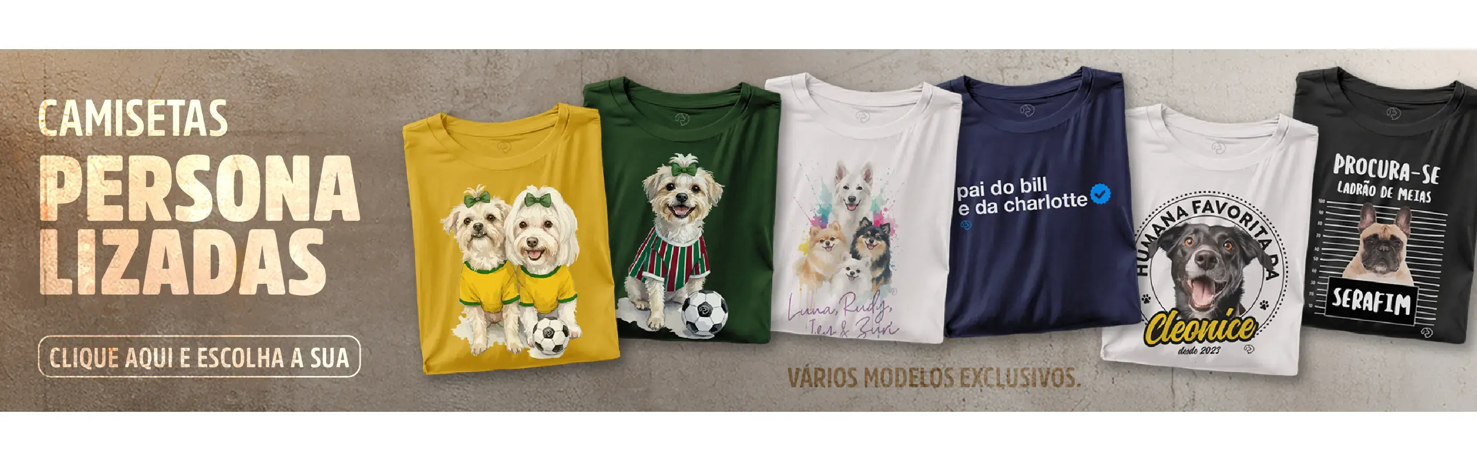 Imagem 0 da seção 11