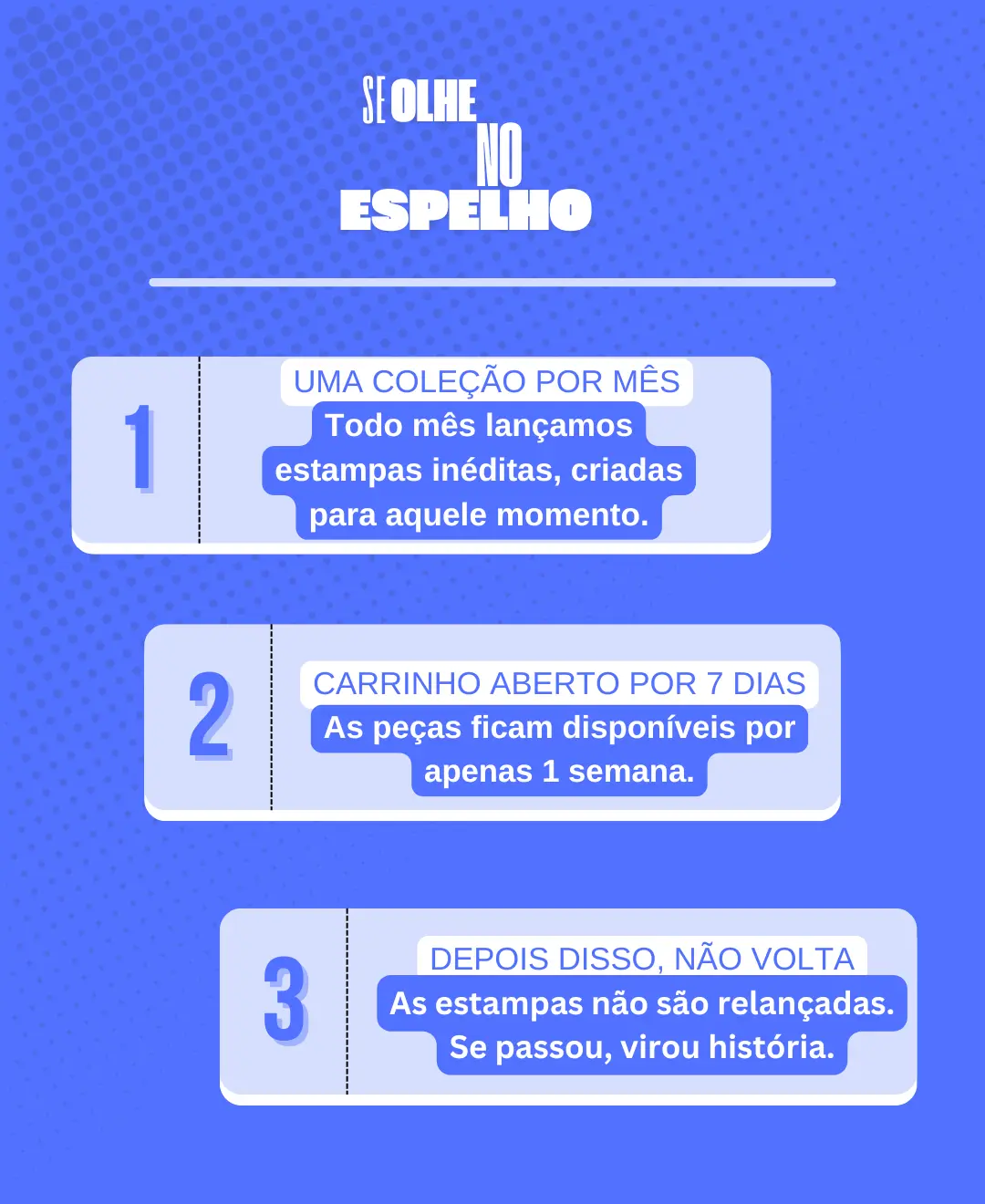 Imagem 1 da seção 8