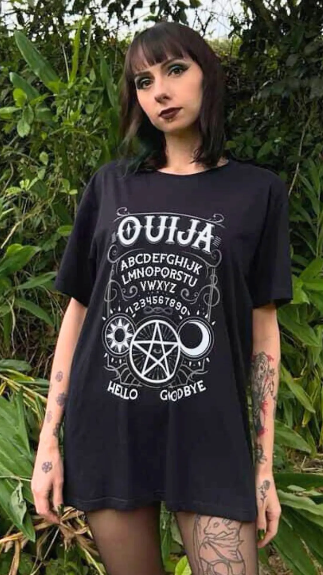 Imagem 1 da seção 6