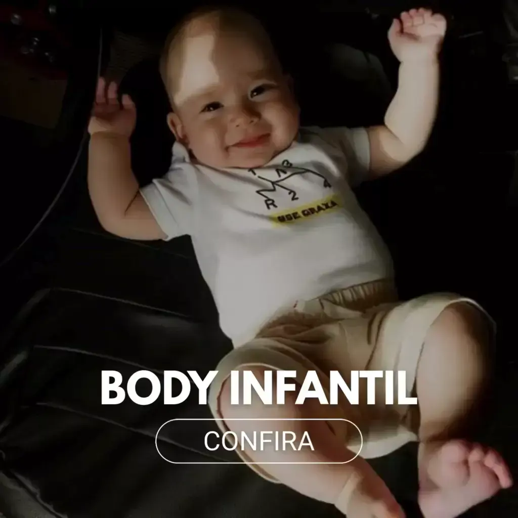 Imagem 2 da seção 8