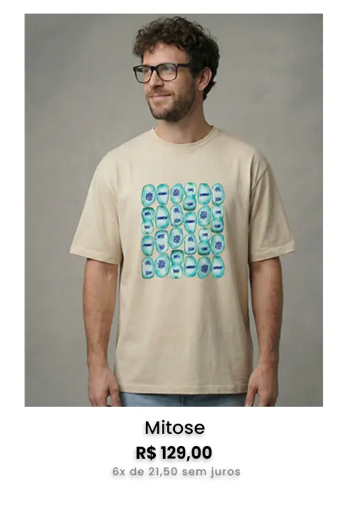 Imagem 1 da seção 12