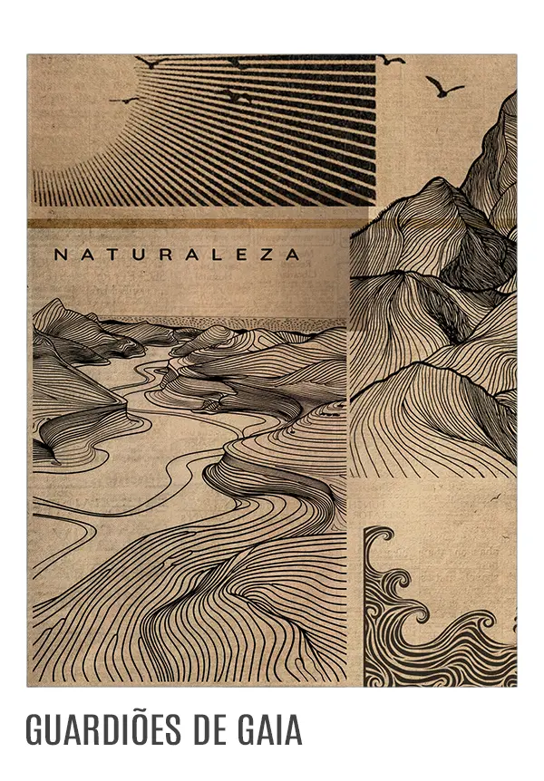 Imagem 0 da seção 8