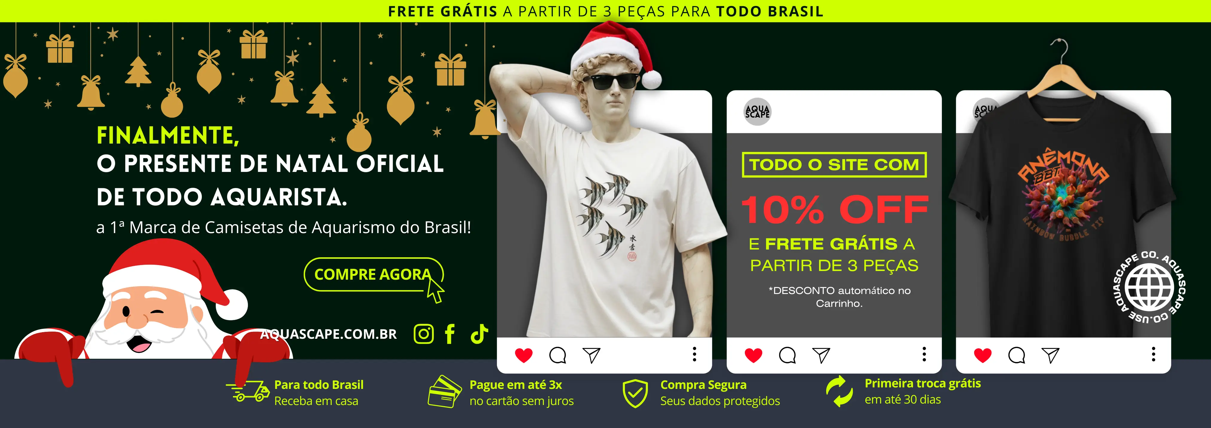 Imagem 0 da seção 1