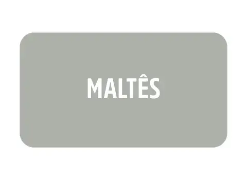 Imagem 2 da seção 20