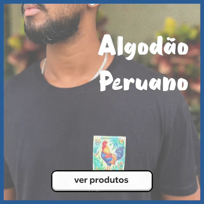 Imagem 1 da seção 6