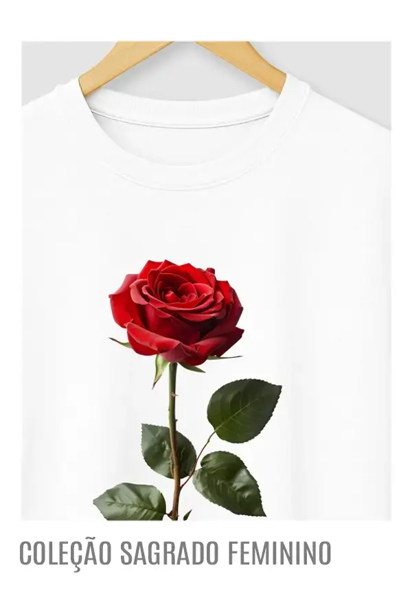 Imagem 2 da seção 3