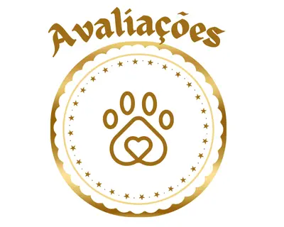 Imagem 3 da seção 5