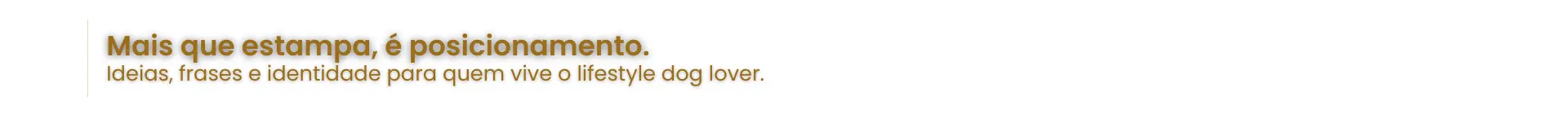 Imagem 0 da seção 11