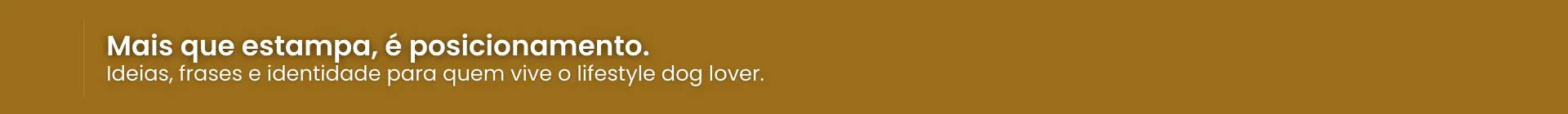 Imagem 0 da seção 11