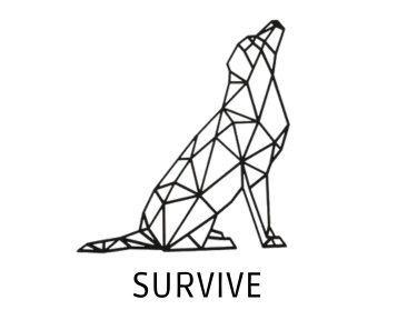 Sobre Survive
