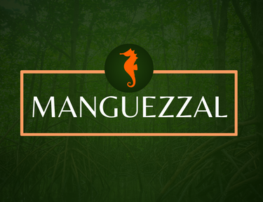 Sobre Manguezzal