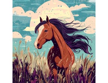 Sobre Equitação & Tal