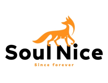 Sobre Soul Nice - Since forever