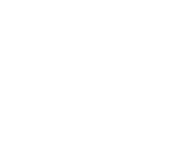 Sobre Santo Motor 