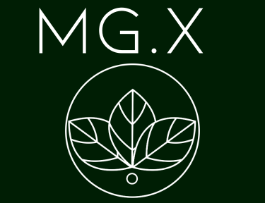Sobre MG.X Store
