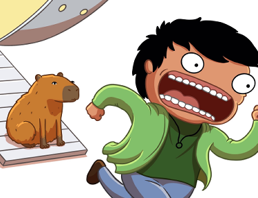 Sobre As Crônicas de Wesley