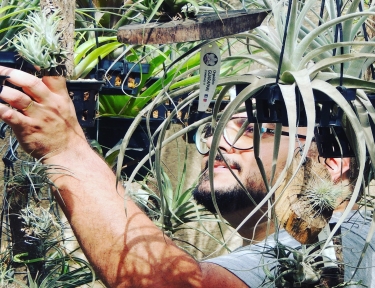 Sobre Botanica Store Brasil