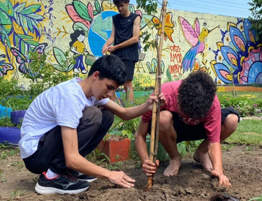 Sobre Juntos, Regeneramos.