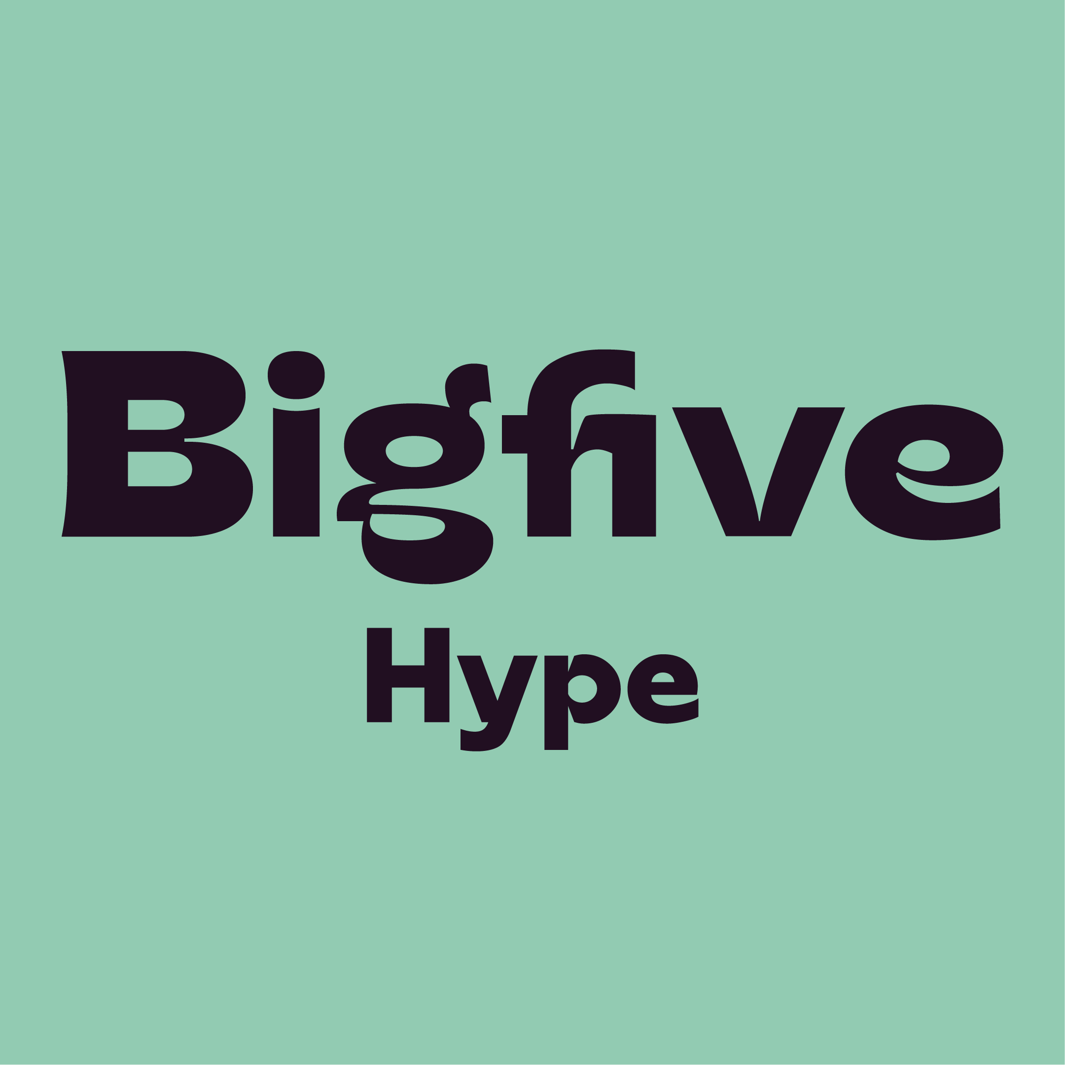 Sobre Big Five Hype