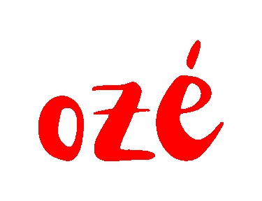 Sobre USE OZÉ - MODA DE TERREIRO