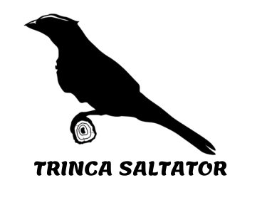 Sobre Trinca Ferro