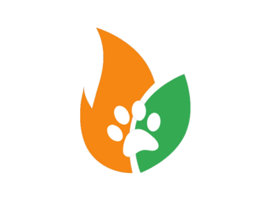 Sobre Big Cidro by @wilcidrao