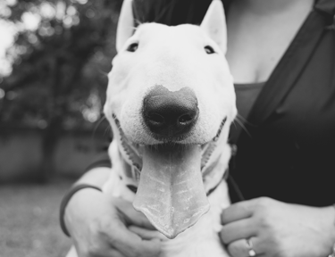 Sobre Loja da Ricota