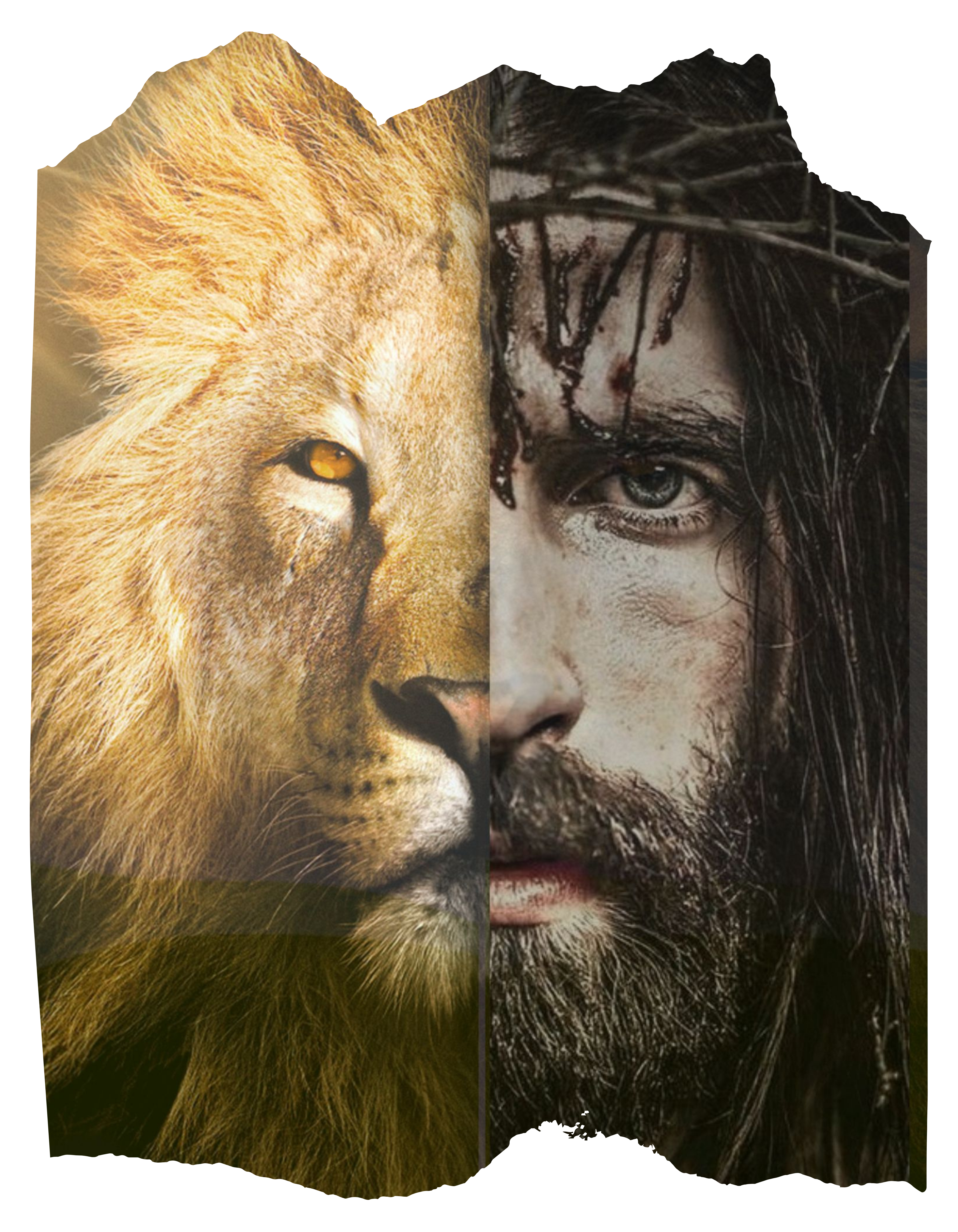 Sobre Supremo Amor Store