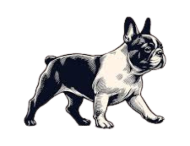 Sobre Bulldog de Rua