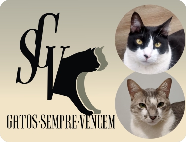 Sobre Gatos Sempre Vencem