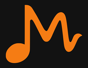 Sobre Use O Músico | Camiseta de Músico