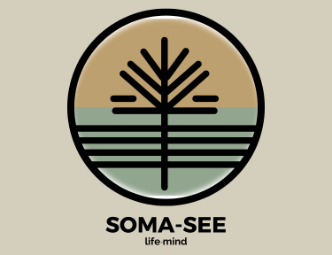 Sobre soma-see